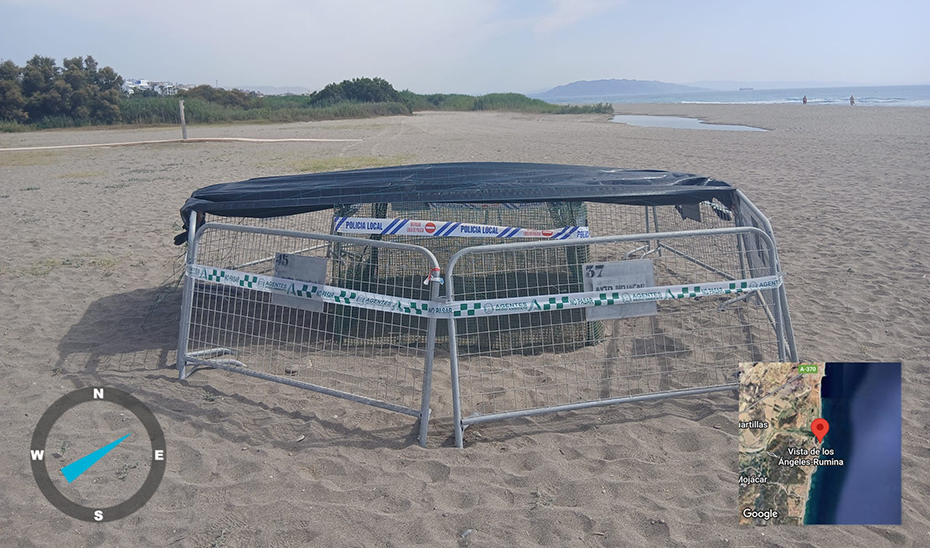 Nido de tortuga boba, delimitado y protegido en la playa de Mojácar (Almería).
